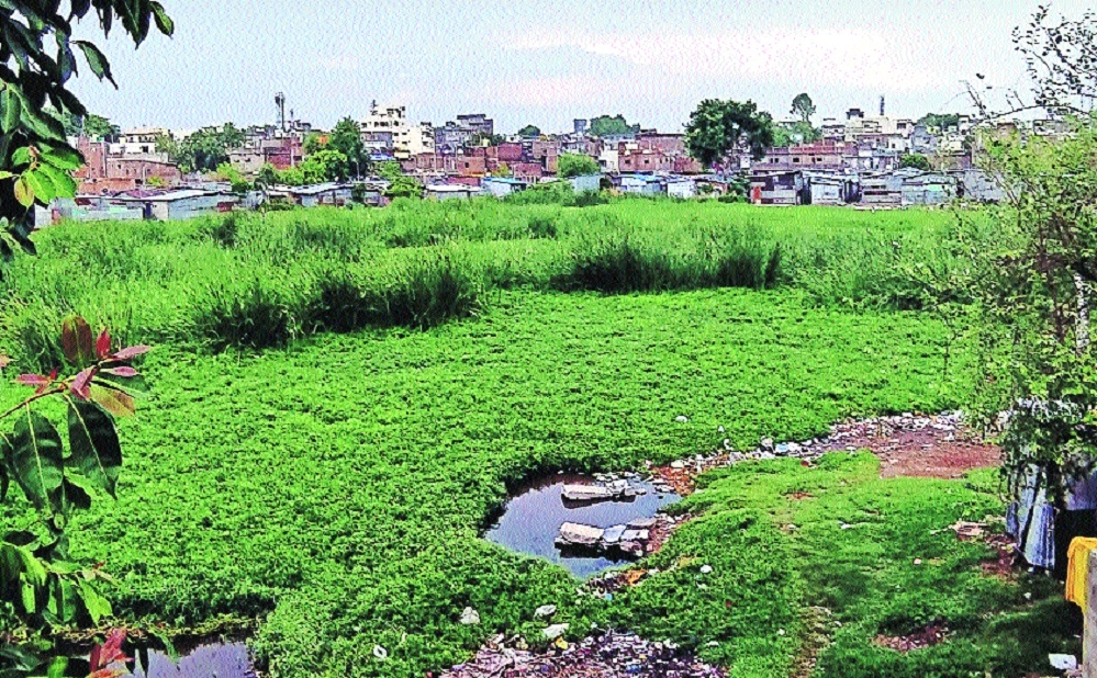 Lendi Talao in Jagnath Budhwari 