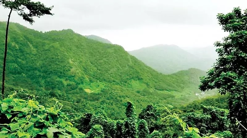 PRICE PAID Forest Department pays 