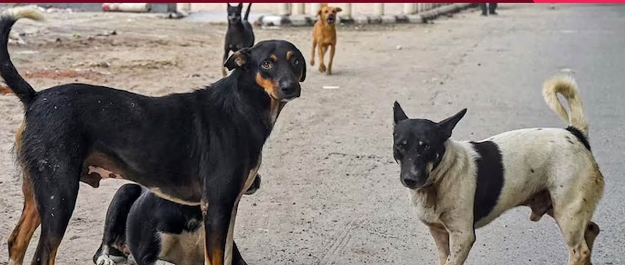 SHOCKER 3 ABC centres 