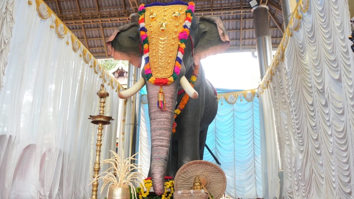 Jackie Shroff and PETA 