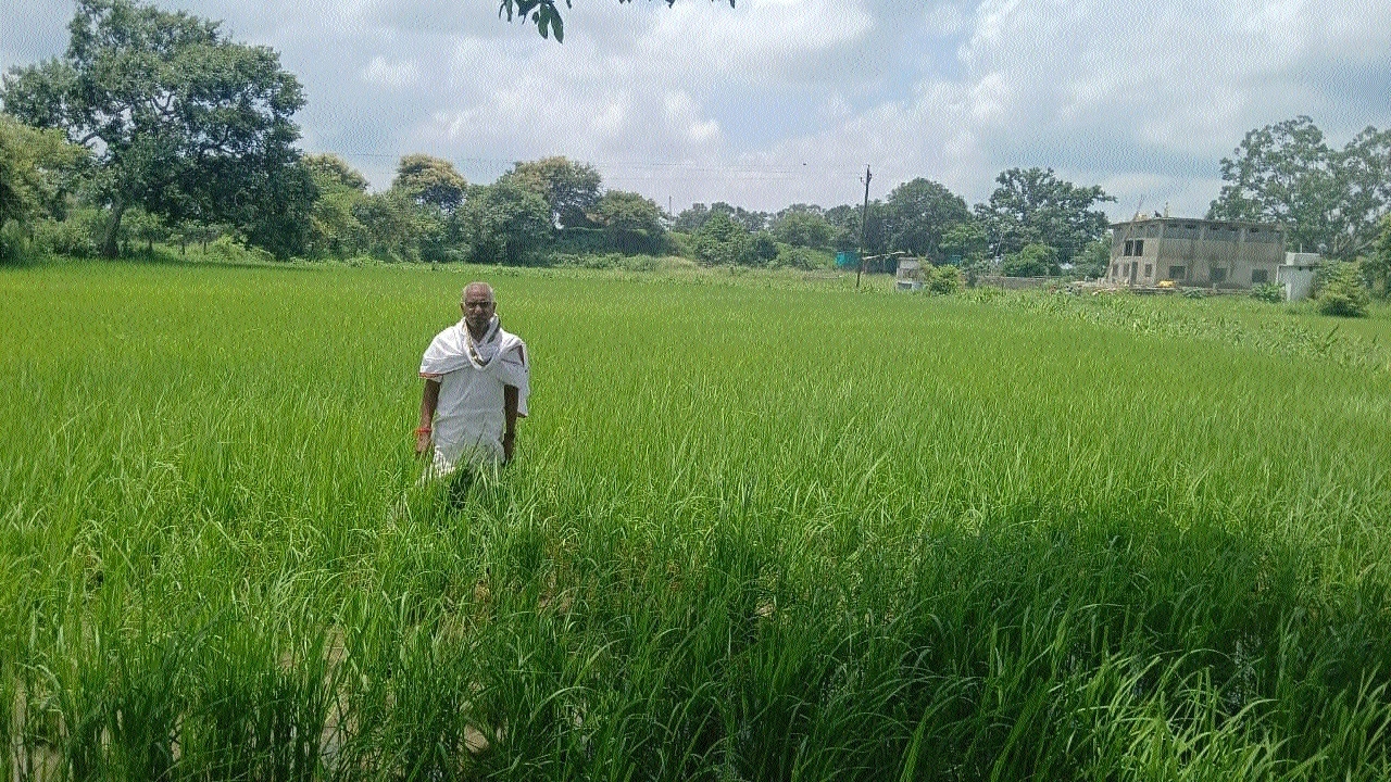 Baghel becomes beacon of change for farmers 