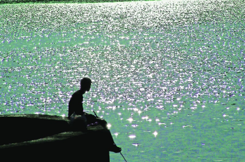 Where Stillness Speaks