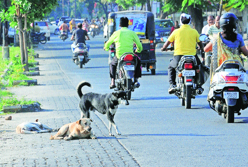 NMC to increase ABCs