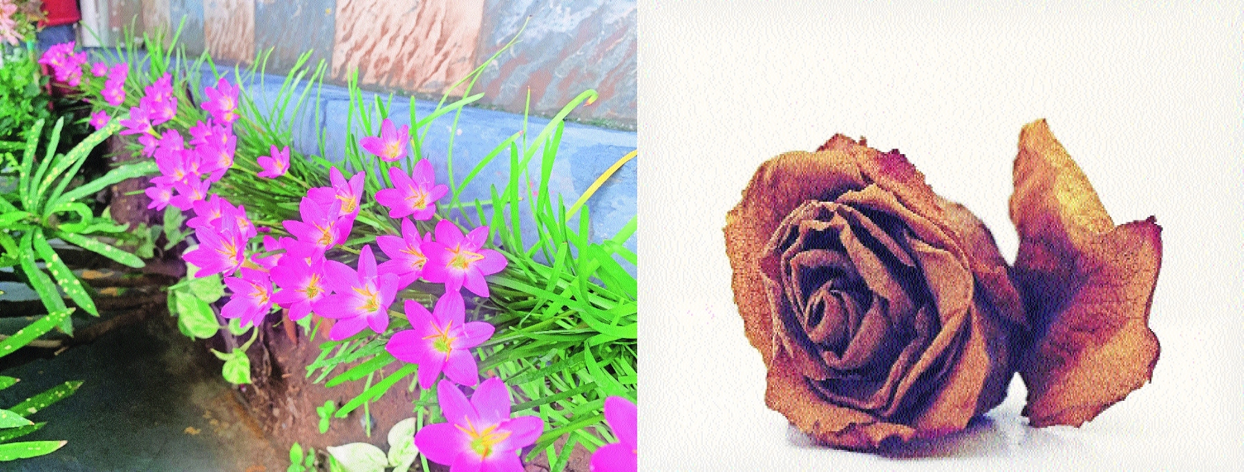 Nothing but a fresh start