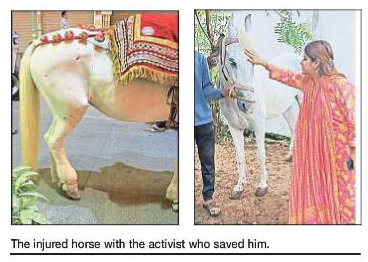 activist Surabhi Lalwani