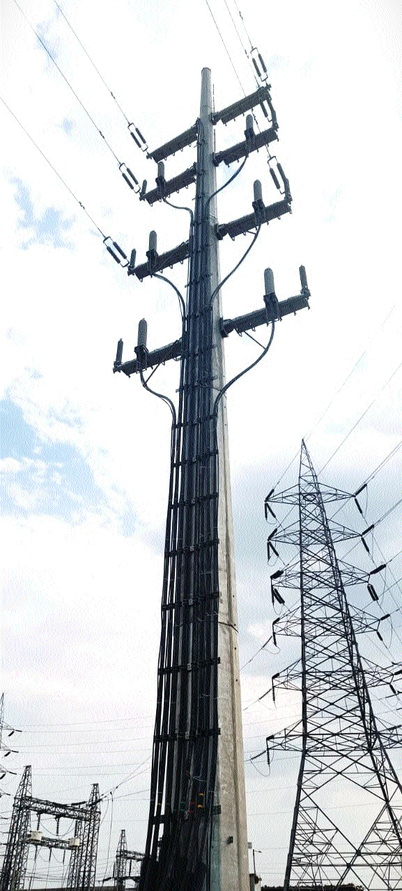 MP Transco energises