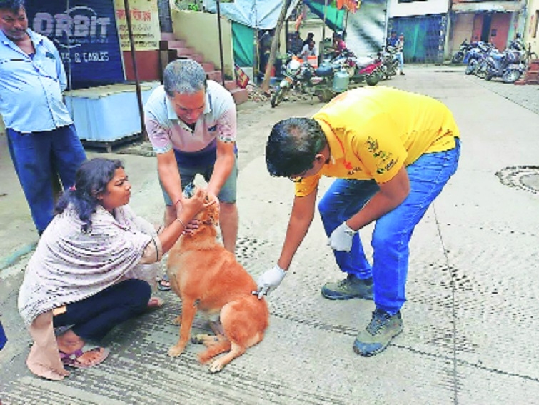 Mission Rabies will be in action till Sept 28