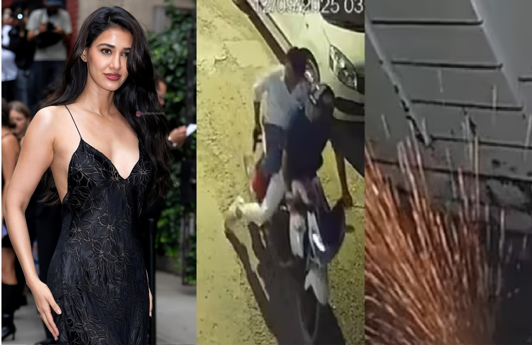 Disha Patanis home firing