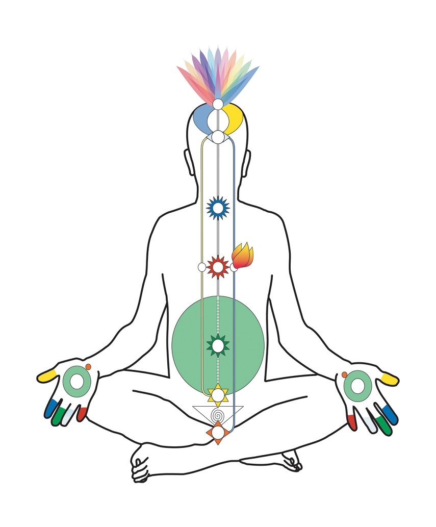 From Nadis To Neurons - Yoga  Neuroscience