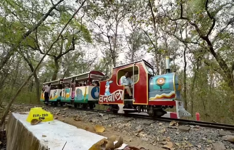 Vanbala to hit tracks in 3 months Forest Deptt to HC