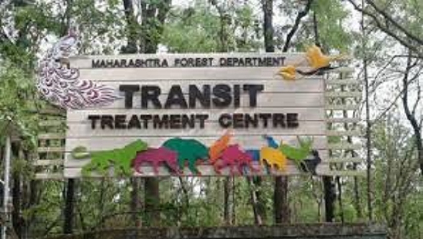 maharshtra forest department trasnit treatment center