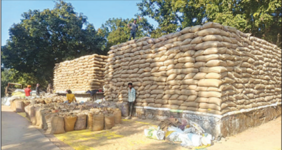 Paddy lifting halted over irregularities