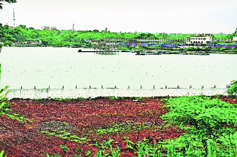 NGT serves notices to MSIDC