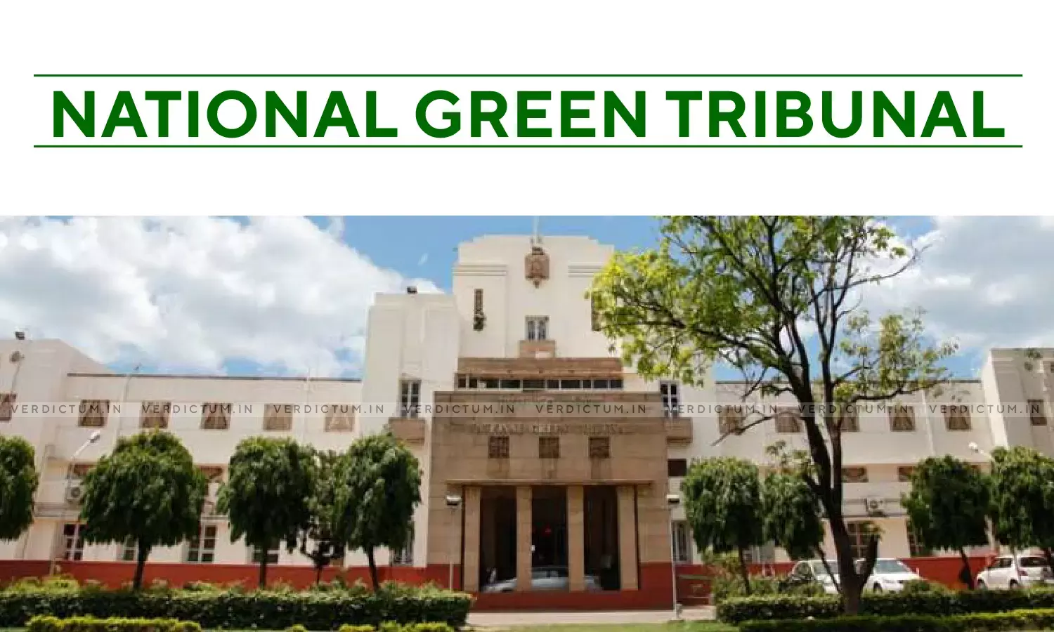 NGT asks Govt,