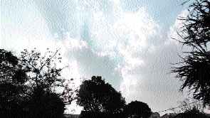 Fog, hail warning as winter rain soaks MP; Begumganj tops chart with 74 mm