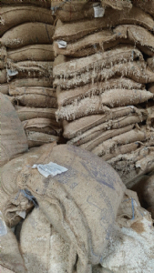 Proposal sent to Govt to act against, recover cost of rotten rice from mill owners in Dindori