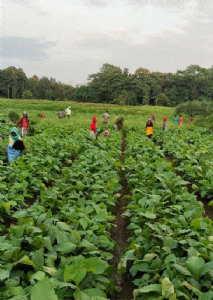 CGTLHT & MPB emphasising on innovative initiatives to strengthen rural economy, make women self-reliant