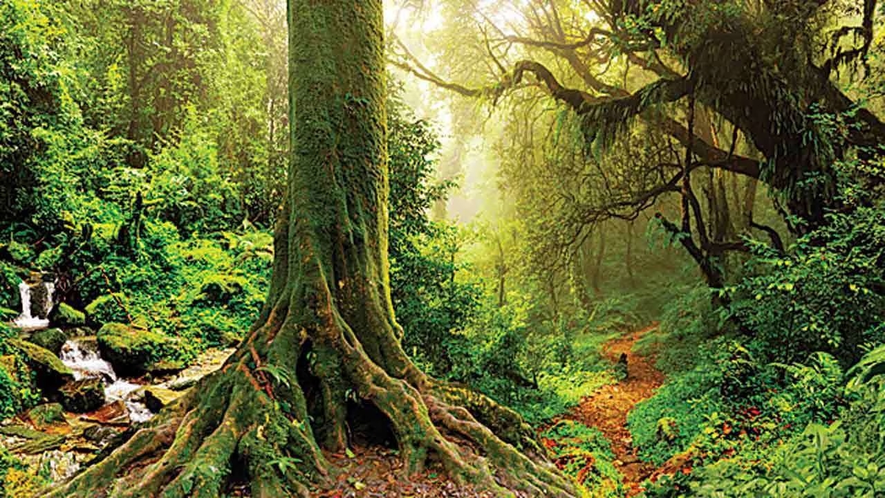 If firm profits more from its scale it has to bear more GREEN costs SC