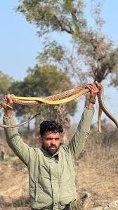 Maha based snake rescuer