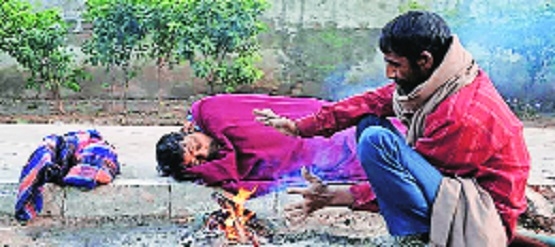 With 86 occupancy shelter homes touch peak in winter 