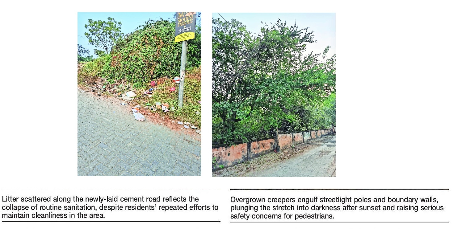 Panchdeep Nagar Where civic disorder is order