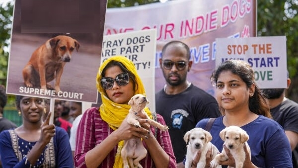 Not directed removal of every dog from streets says SC