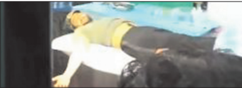 Pet dog bites caretaker, another inside CM House