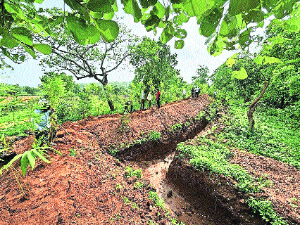 State’s first bio-fencing