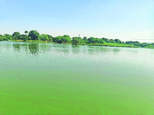 A view of Amla Railway Reservoir after desilting