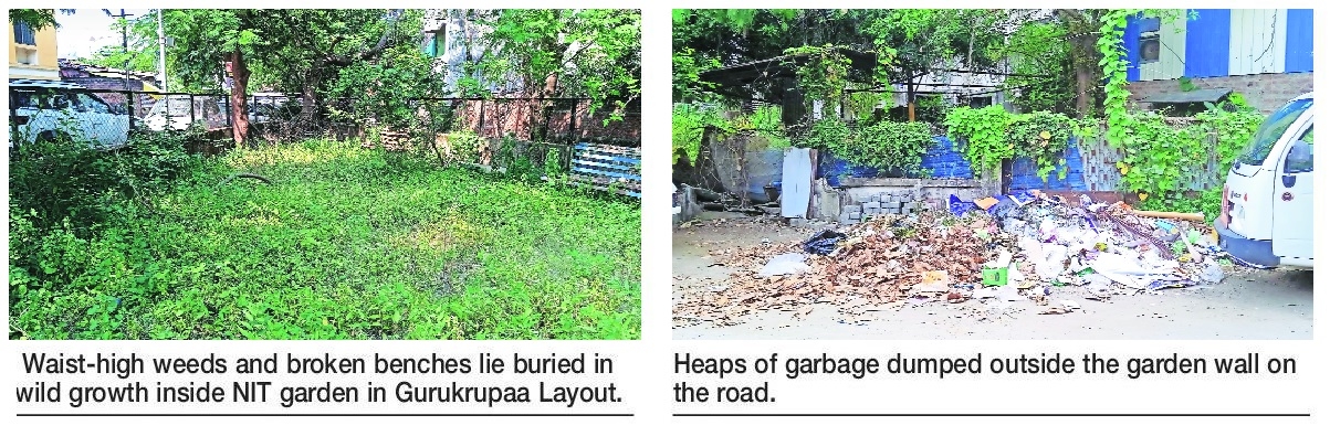 Abandoned NIT garden in Gurukrupa Layout choked by wild growth waste