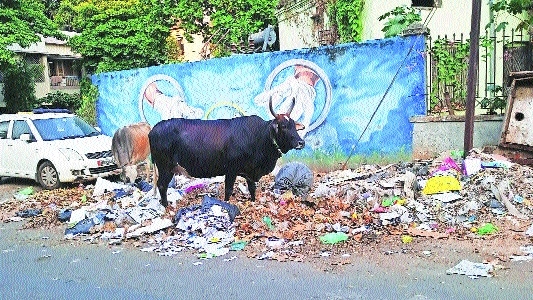 Garbage heap in heart of Dhantoli hospital