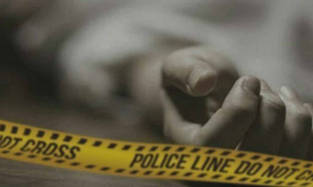 Engineering student killed in hit-and-run