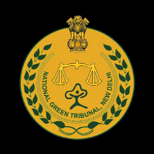 Waste woes under lens: NGT orders Collector, BMC for time-bound clean up