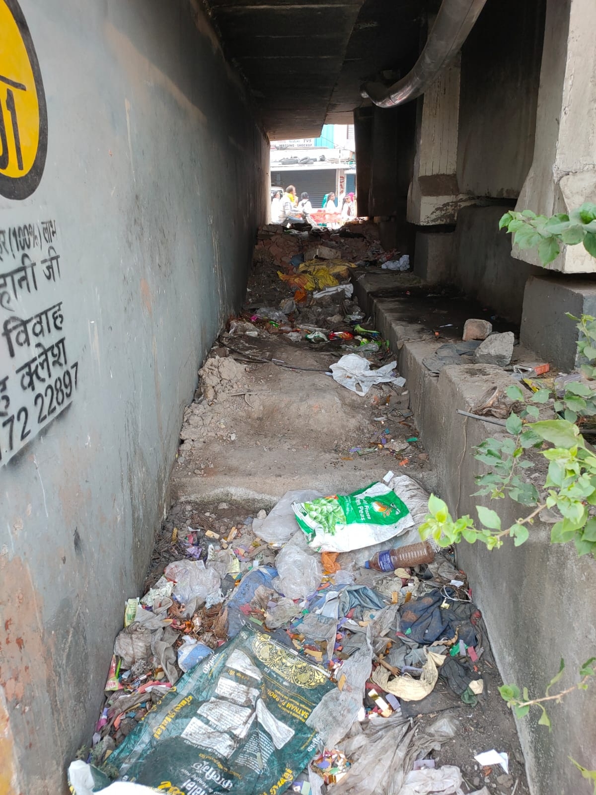 Garbage in it backyard 
