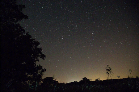 Reading the Stars: Indigenous Astronomy of the Gonds