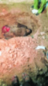 Man kills lover in Chandrapur, buries body in house in Hingna