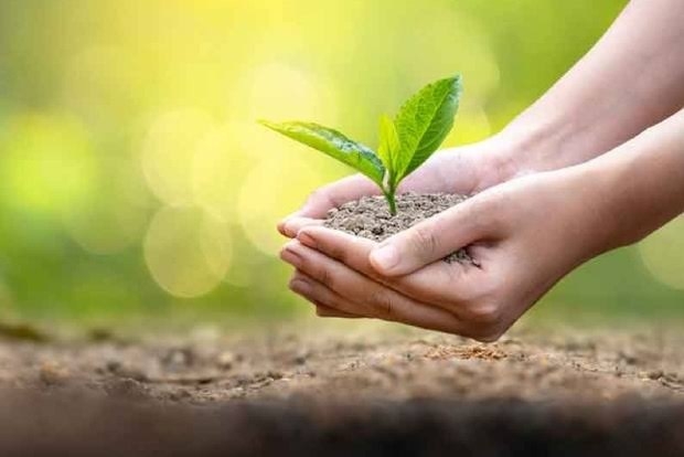 NMCs plantation drive hits roadblock