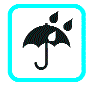 Mild rains likely
