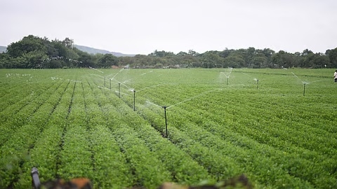 Farming on fewer drops