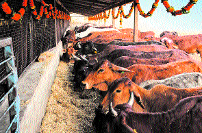 Rs 1 lakh prize