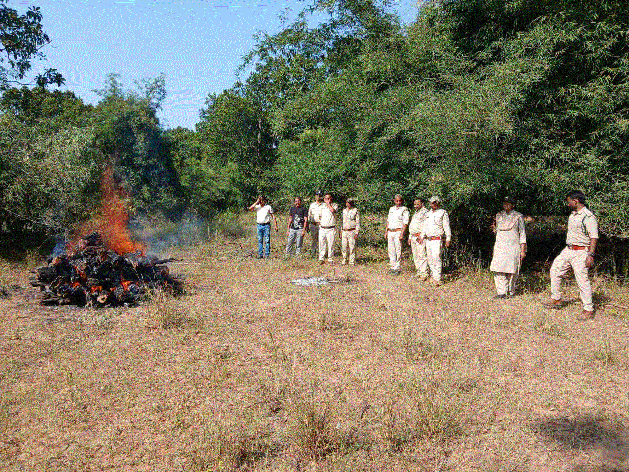 Spotted deer found dead