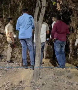 Severed human head found