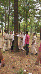 Chipko movement echoes