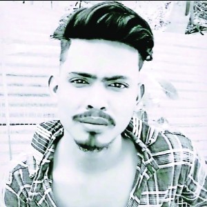 Phalli