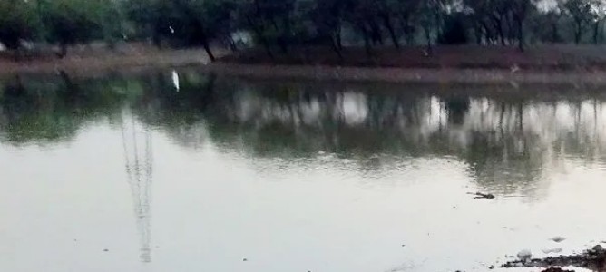 Police Line Takli Lake our Duckie Pond now victim of apathy 