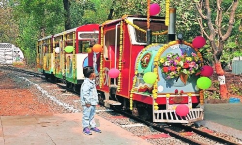 The ailing Vanbala of Forest Department