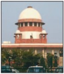 Not inclined to completely ban firecrackers: SC