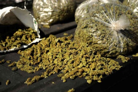 500 kg ganja seized from truck, 3 held