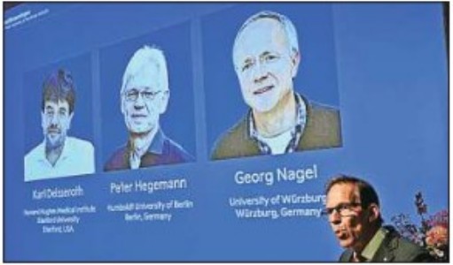 Nobel Medicine Prize goes to threescientists for research into brain activity