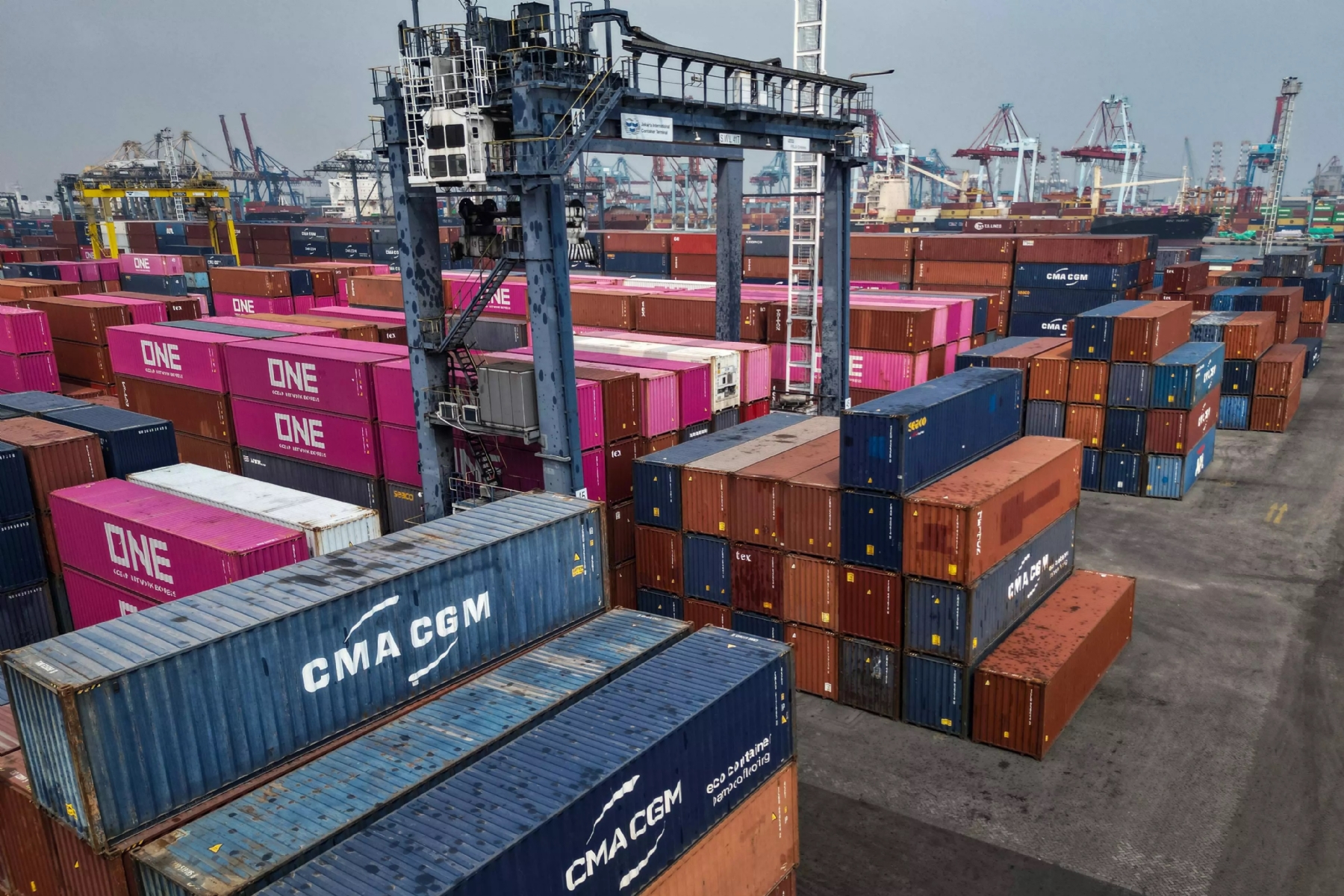 Rising ocean freight rates impact regional rice exports
